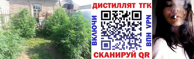 Дистиллят ТГК концентрат  MEGA зеркало  Усолье-Сибирское 