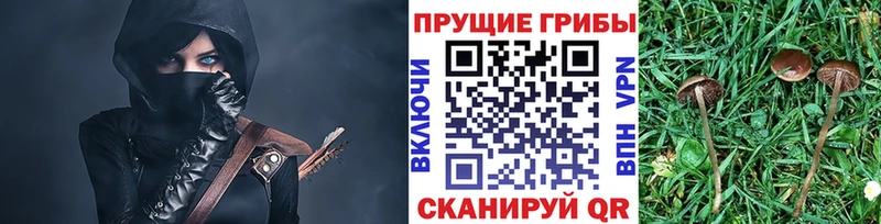 Галлюциногенные грибы Psilocybine cubensis  Усолье-Сибирское 